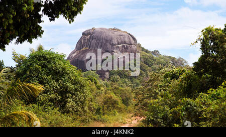 Großer schwarzer Stein zwischen grünen Vegetation am Mittag und niemand um ihn herum auf der Insel Belitung, Indonesien. Stockfoto