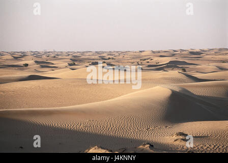 Vereinigte Arabische Emirate, Dubai, Umwelt, Wüste Front Osten, im Nahen Osten, Naher Osten, Arabische Halbinsel, Arabien, VAE, Vereinigte Arabische Emirat, Vereinigte Arabische Emirate, Emirat, Scheichtum, Natur, Sand, Sandwüste, Trockenheit, Trockenheit, Hitze, Breite, Horizont Stockfoto