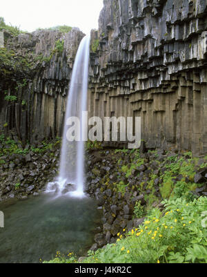 Island, Skaftafell-Nationalpark, Wasserfall 'Svartifoss' Europa, Insel, Island, "schwarze Wasserfall" Basalt Säulen, Felsen, Basalt, Ausgießung Rock, Galle Formationen, Naturschauspiel, Sehenswürdigkeit, Sommer Stockfoto