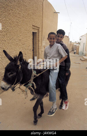 Tunesien, Tozeur, Kinder, Esel, Fahrt, Lächeln, Rückfahrkamera, kein Model-Release! Afrika, Südtunesien, Gasse, Straße, Person, Kinder, Jugendliche, jungen, Freunde, zwei, zusammen, fröhlich, fröhlich, freundlich, lachen, Kindheit, Jugend Stockfoto