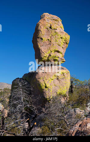 Rock-Zinnen von Echo Canyon Loop Trail, Chiricahua National Monument, Arizona Stockfoto