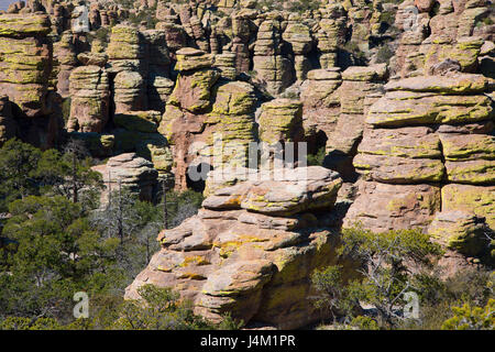 Rock-Zinnen von Echo Canyon Loop Trail, Chiricahua National Monument, Arizona Stockfoto