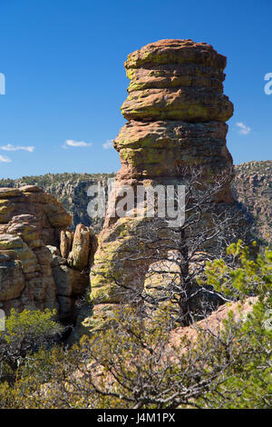 Rock-Zinnen von Echo Canyon Loop Trail, Chiricahua National Monument, Arizona Stockfoto