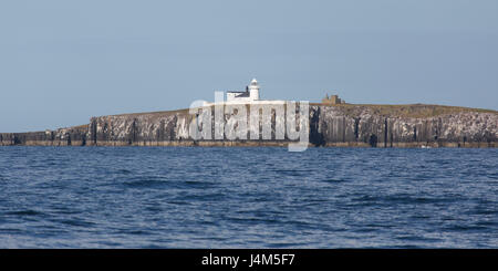 Inner Farne Leuchtturm an der Spitze der Klippe der Farne Islands vor der Küste von Northumberland in England. Stockfoto