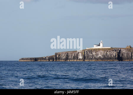 Inner Farne Leuchtturm an der Spitze der Klippe der Farne Islands vor der Küste von Northumberland in England. Stockfoto