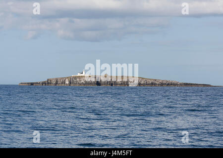 Inner Farne Leuchtturm an der Spitze der Klippe der Farne Islands vor der Küste von Northumberland in England. Stockfoto