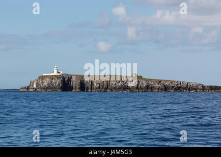 Inner Farne Leuchtturm an der Spitze der Klippe der Farne Islands vor der Küste von Northumberland in England. Stockfoto