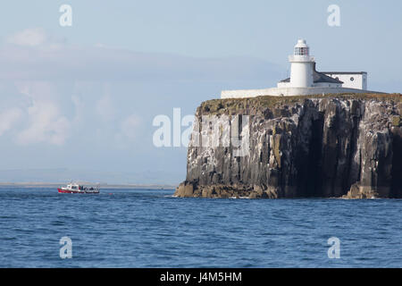 Inner Farne Leuchtturm an der Spitze der Klippe der Farne Islands vor der Küste von Northumberland in England. Stockfoto