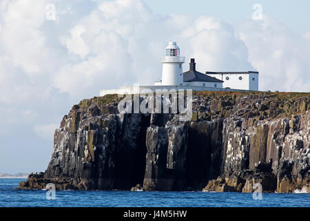 Inner Farne Leuchtturm an der Spitze der Klippe der Farne Islands vor der Küste von Northumberland in England. Stockfoto