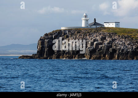 Inner Farne Leuchtturm an der Spitze der Klippe der Farne Islands vor der Küste von Northumberland in England. Stockfoto