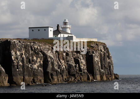 Inner Farne Leuchtturm an der Spitze der Klippe der Farne Islands vor der Küste von Northumberland in England. Stockfoto