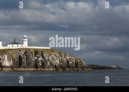 Inner Farne Leuchtturm an der Spitze der Klippe der Farne Islands vor der Küste von Northumberland in England. Stockfoto