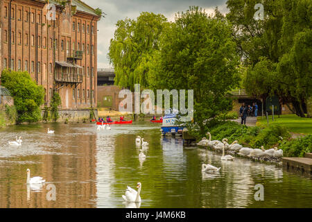 Whitworths Mühle am Fluss Nene Stockfoto