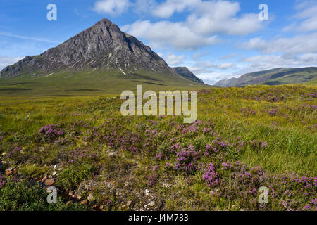 Glen Etive mit perfekt geformten Berg. Stob Dearg in Sommer, Highlands, Schottland, Vereinigtes Königreich Stockfoto