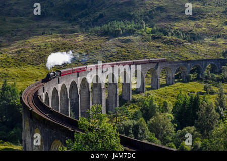 Jacobite Dampfzug auf Glenfinnan Viadukt nähert sich. Highlands, Schottland, Vereinigtes Königreich Stockfoto