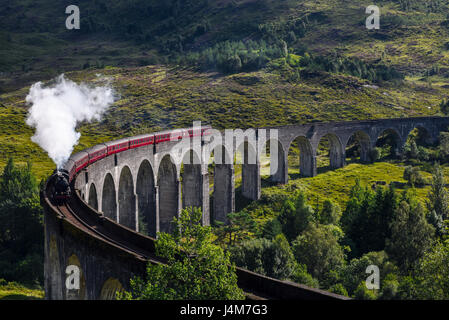 Jacobite Dampfzug auf Glenfinnan Viadukt. Highlands, Schottland, Vereinigtes Königreich Stockfoto