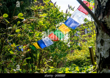 bunte Fähnchen innerhalb einer europäischen Garten im Frühjahr Stockfoto