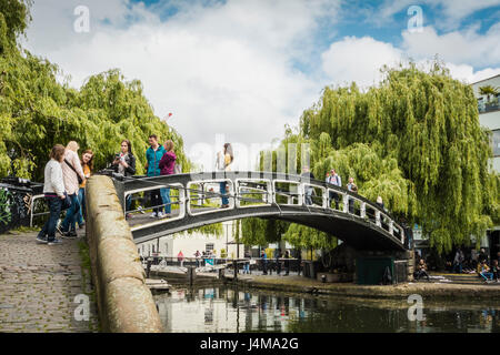 Trauerweiden in der Nähe von Camden Market in NW1, London, UK Stockfoto