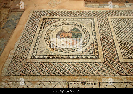 Schönen Mosaikboden im Haus des Eustolios, am alten Kourion, Bezirk von Lemessos (Limassol), Zypern Stockfoto