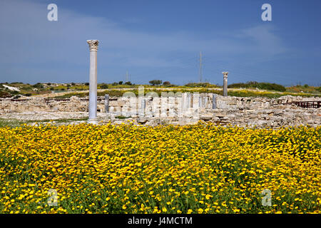 Ruinen der alten Roman Agora am antiken Kourion, Bezirk von Lemessos (Limassol), Zypern Stockfoto