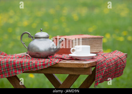 Korb für Picknick mit Teddybär auf einer Decke im park Stockfoto