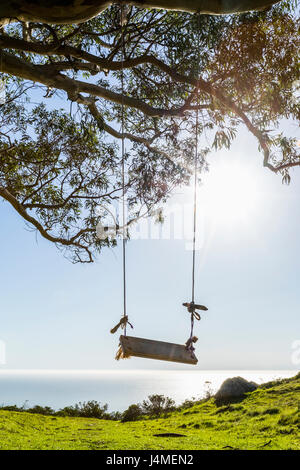 Baum-Schaukel in der Nähe von Meer Stockfoto