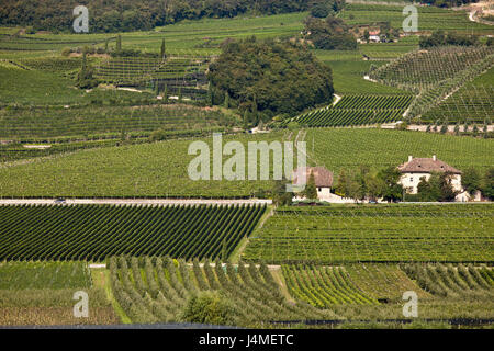 Luftaufnahme des Weinlandes Stockfoto