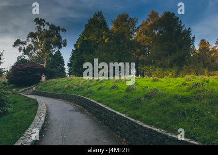 Ein Walkinng Weg durchschneidet einen üppigen Grün bedeckt Grasfläche mit der Waldbäume Tollymore zeigt im Hintergrund. Stockfoto