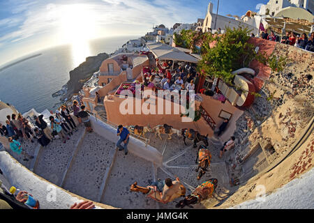 Esel weg durch die Straßen von Oia, Vergangenheit Touristen für den Sonnenuntergang, Santorini, Griechenland abwarten. Stockfoto