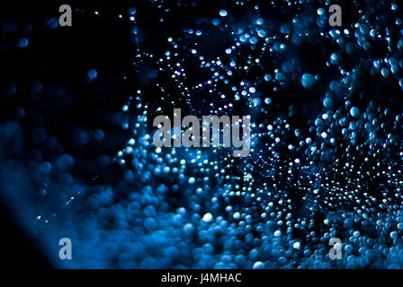 Nahaufnahme der Tau fällt auf Spinnennetz in der Nacht. Stockfoto