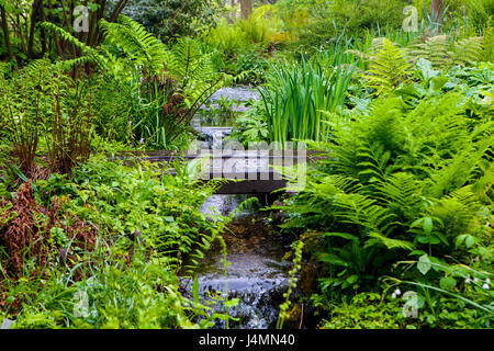 Hortus Botanicus, Botanischer Garten in Leiden, Niederlande Stockfoto