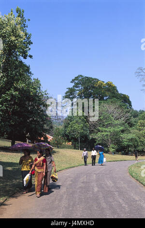 Kandy, Sri Lanka, Botanischer Garten, Besucher außerhalb Südasiens, Insel, Insel, Provinz Central, Bezirkshauptstadt, Peradeniya, Orchideenhaus, Ort von Interesse, Reiseziel, Botanik, Pflanzen, Garten, aufgedeckt, Raum, Person, Sonnenschirme Stockfoto