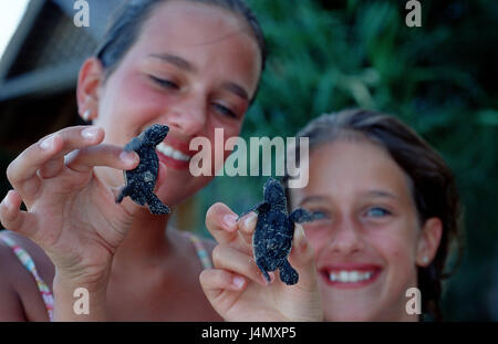 Mädchen, baby-Schildkröten, halten, Lächeln, Porträt Stockfoto