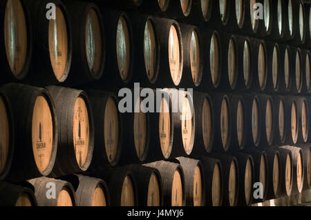 Keller, Fässer, Hafen, Porto, Portugal, Stockfoto