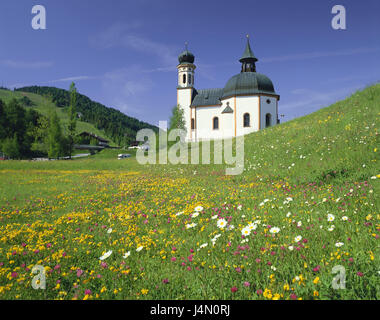 Österreich, Tirol, Seefeld, Seekirchl, Blume, Wiese, Ziel, die Ferienregion, Tourismus, Ort von Interesse, Gebäude, Struktur, Architektur, sakrale Bau, Kirche, glauben, Religion, Christentum, Wiese, Blumen, Löwenzahn, Blüten, Stockfoto