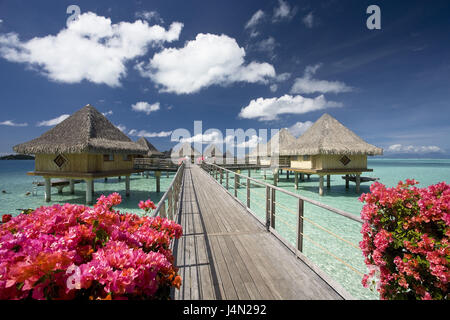 Französisch Polynesien, Bora Bora, Intercontinental Resort, Strand, Stockfoto