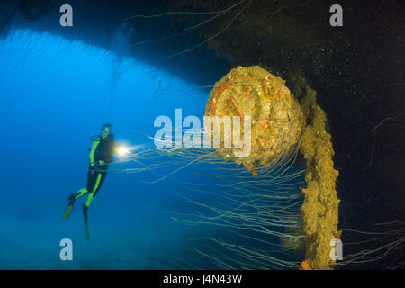 Taucher, Schiffswrack, Geschütz, HIJMS Nagato Stockfoto