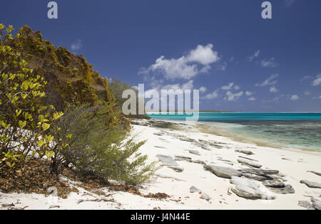 Strand, Lagune, Bikini, Marshall-Inseln, Stockfoto