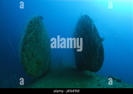 Schiff Wrack, HIJMS Nagato, Detail, Ruder, Bottom-up, Stockfoto