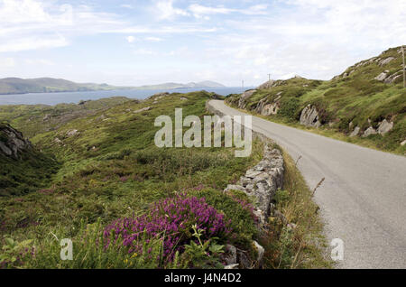 Munster, Irland Cork county, Beara Halbinsel, Straße, Stockfoto