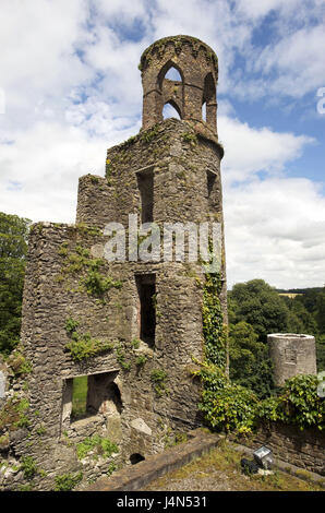 Irland, Munster, county Cork, Blarney, Blarney Castle, Burg, Stockfoto