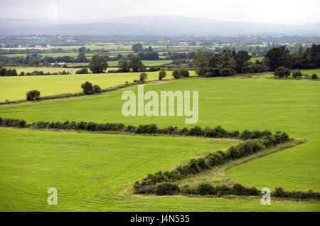 Irland, Munster, county Tipperary, Cashel, Felsen von Cashel, Felder, Stockfoto