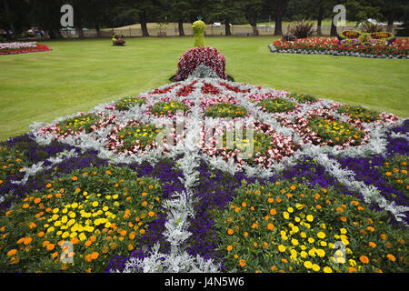 Großbritannien, Schottland, Moray, Forres, Grant Park, Blumenbeet, Stockfoto