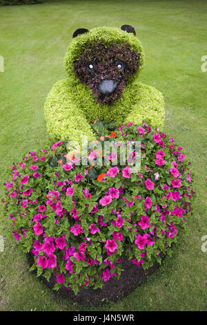 Großbritannien, Schottland, Moray, Forres, Grant Park, Blumen, Stockfoto