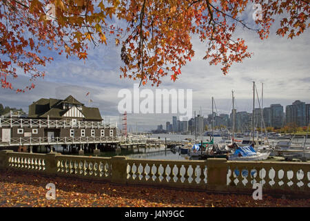 Kanada, British Columbia, Vancouver, Coal Harbour, Herbst, Britisch Kolumbien, Stadt, Hafen, Gebäude, Architektur, Geländer, Laub, Herbstlaub, Baum, Blätter, Orange, menschenleer, draußen, Stockfoto
