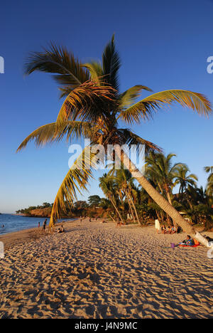 Am Abend Licht, Palmen, sandigen Strand, Nosy Komba, Meer, Insel Nosy Be, Madagaskar, Stockfoto