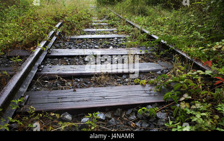 Gleis, stillgelegten, überwuchert zu werden, Schienen, Schienen, Eisenbahnschienen, Flugbahn Schienen, rostig, alte, unbenutzte, Flugbahn, Eisenbahn, zusammenwachsen, Ausfahrt, Rasen, Sträucher, Lauf, wachsen grassiert, Endstation, Vergangenheit, Stockfoto