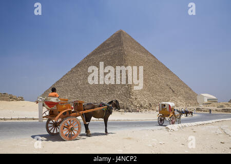 Cheops Pyramide, Ägypten, Kairo, Pferdekutsche, Stockfoto