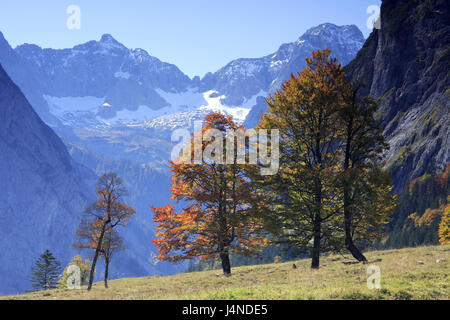 Österreich, Tirol, enges Tal, Ahorn Boden, Karwendel, Bäume, Herbst, Stockfoto