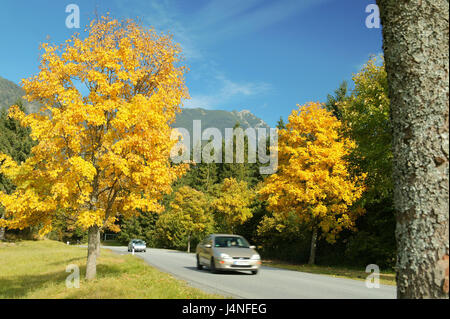 Deutschland, Bayern, Grainau, Bäume, Herbstlaub, Straße, Verkehr, Autos, Unschärfe, Süddeutschland, Oberbayern, Reiseziel, Kurort, Holz, draußen, Herbst, herbstliche, Ruhe, Idylle, Verfärbungen, verlassenen, sonnig, Ausflug, Pkw, Stockfoto